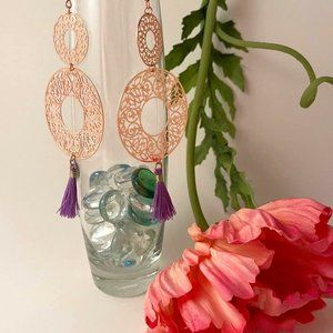 Delicate Long Earrings with Tassels